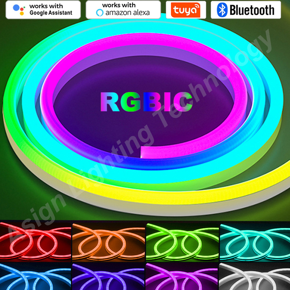 RGBIC LED Neon şerit 12V 96LED - Smart Led Garden incelemesi ve fiyatı